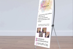 DISPLAY2