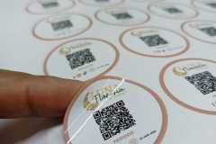 Imagen-de-WhatsApp-2024-03-07-a-las-18.06.00_fb18ba5d